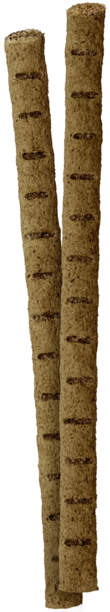 Vitakraft Insectstick hondensnack (2 x 12 g)