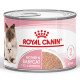 Royal Canin Mother & Babycat vådfoder til katte (mousse)