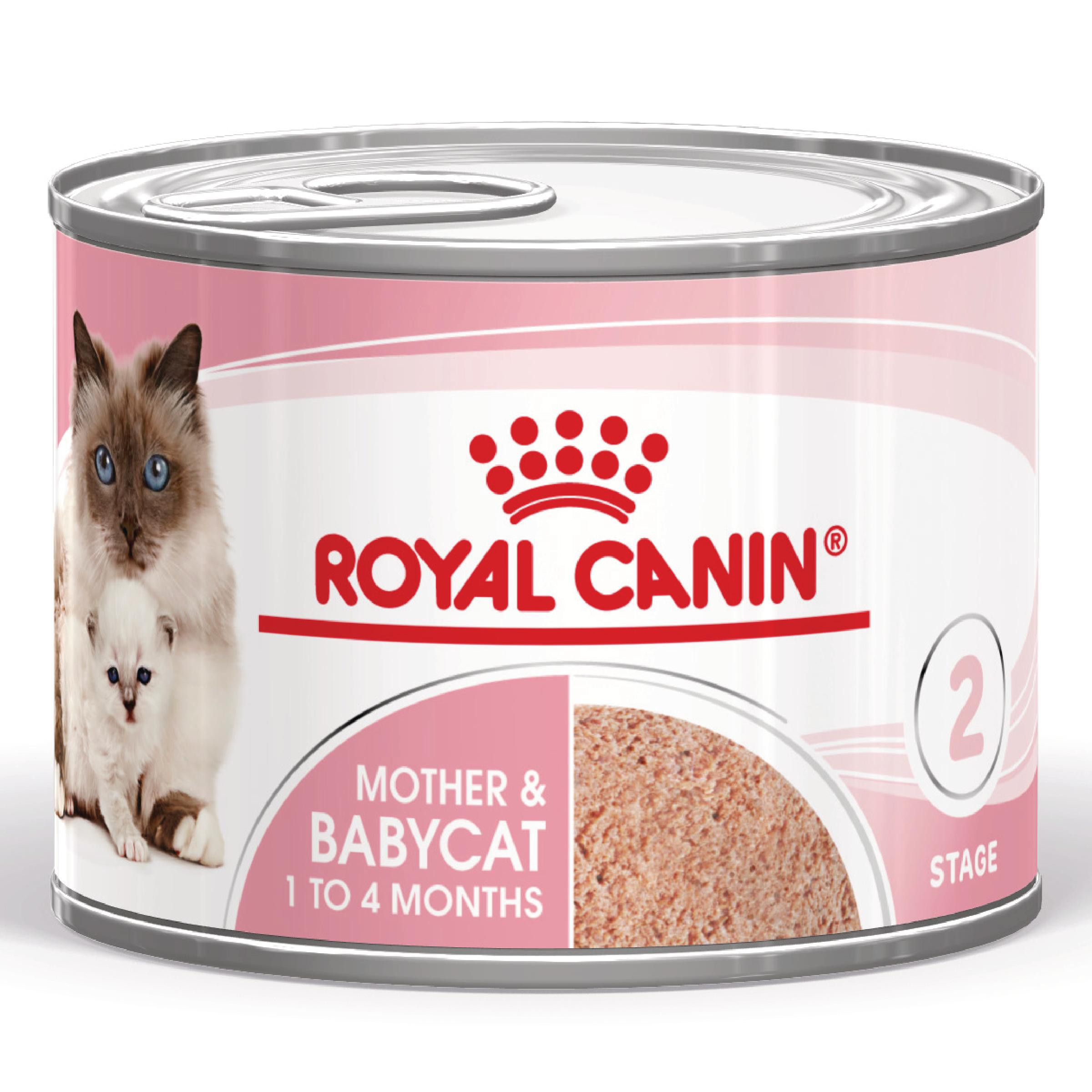 Royal Canin Mother & Babycat vådfoder til katte (mousse)