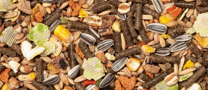 Kasper Fauna Gemengd Konijnenvoer