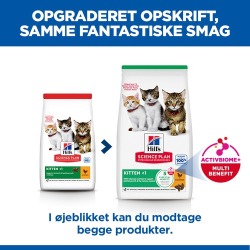 Hill's Kitten Healthy Development Huhn Katzenfutter Hill's Kitten Healthy Development Huhn Katzenfutter