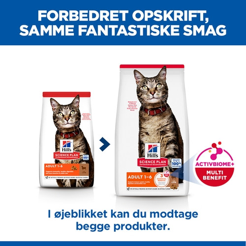 Hill's Adult med lam kattefoder