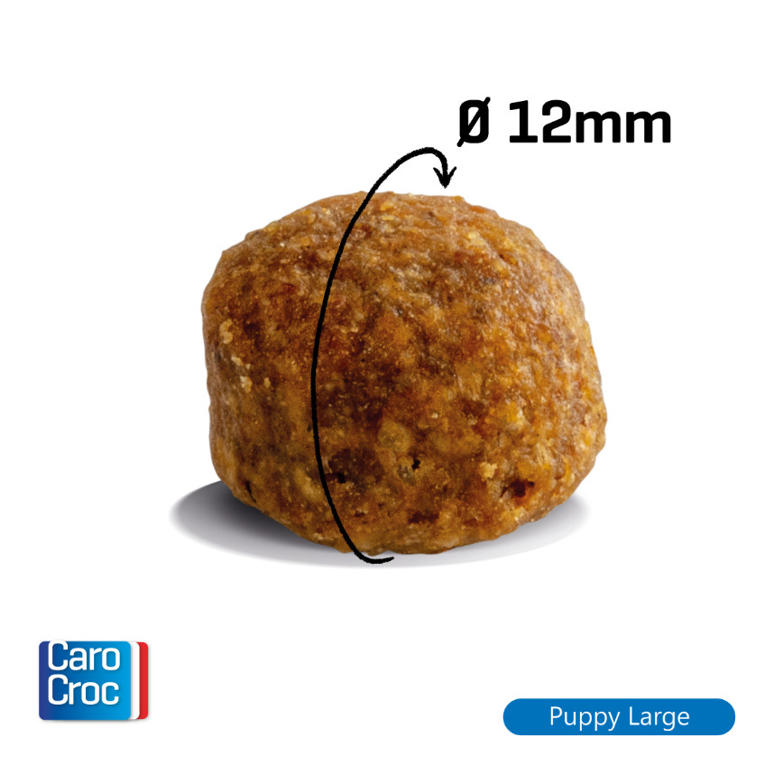 CaroCroc 25/17 Puppy Large hundefoder