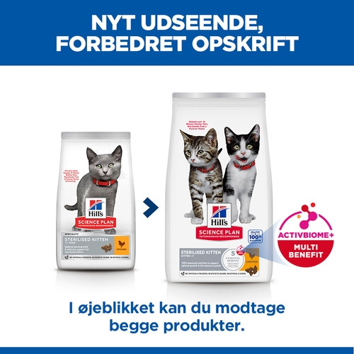 Hill's Kitten Sterilised con pollo per gatto