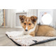 Calida varmereflekterende liggemåtte til hund og kat