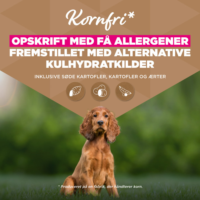 Eukanuba Puppy & Junior S/M graanvrij zeevis hondenvoer