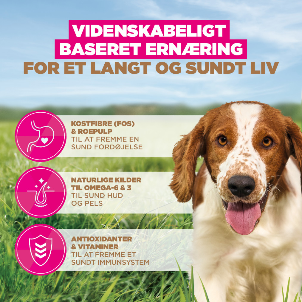 Eukanuba Adult S/M graanvrij zeevis hondenvoer