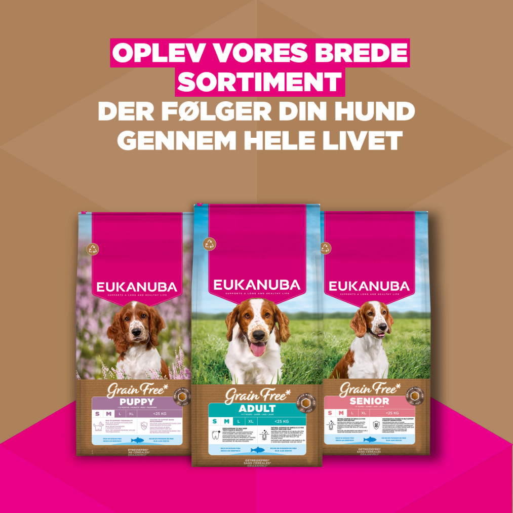 Eukanuba Adult S/M graanvrij zeevis hondenvoer