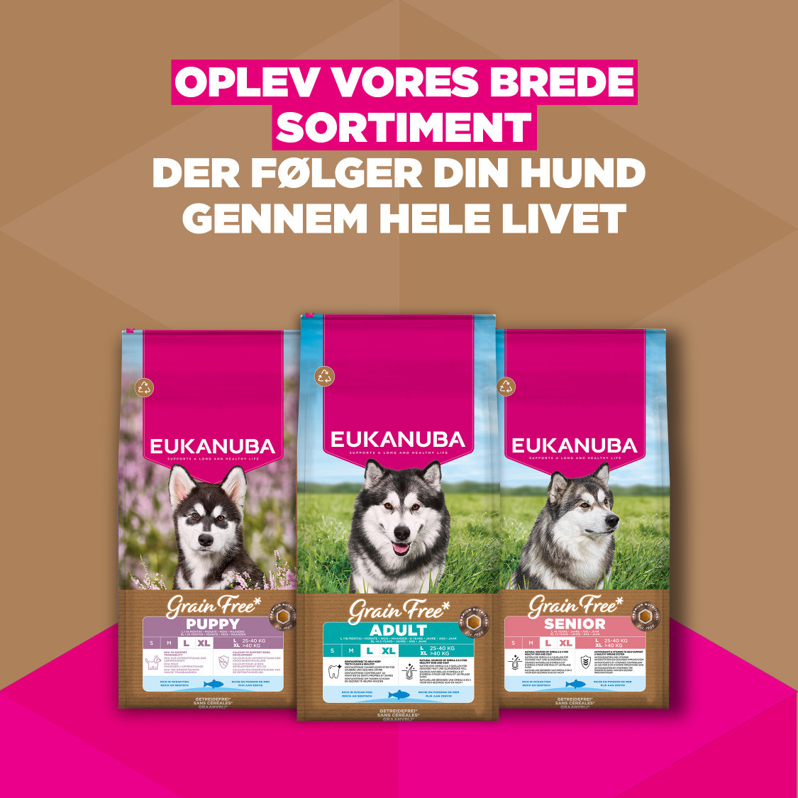 Eukanuba Adult L/XL graanvrij zeevis hondenvoer