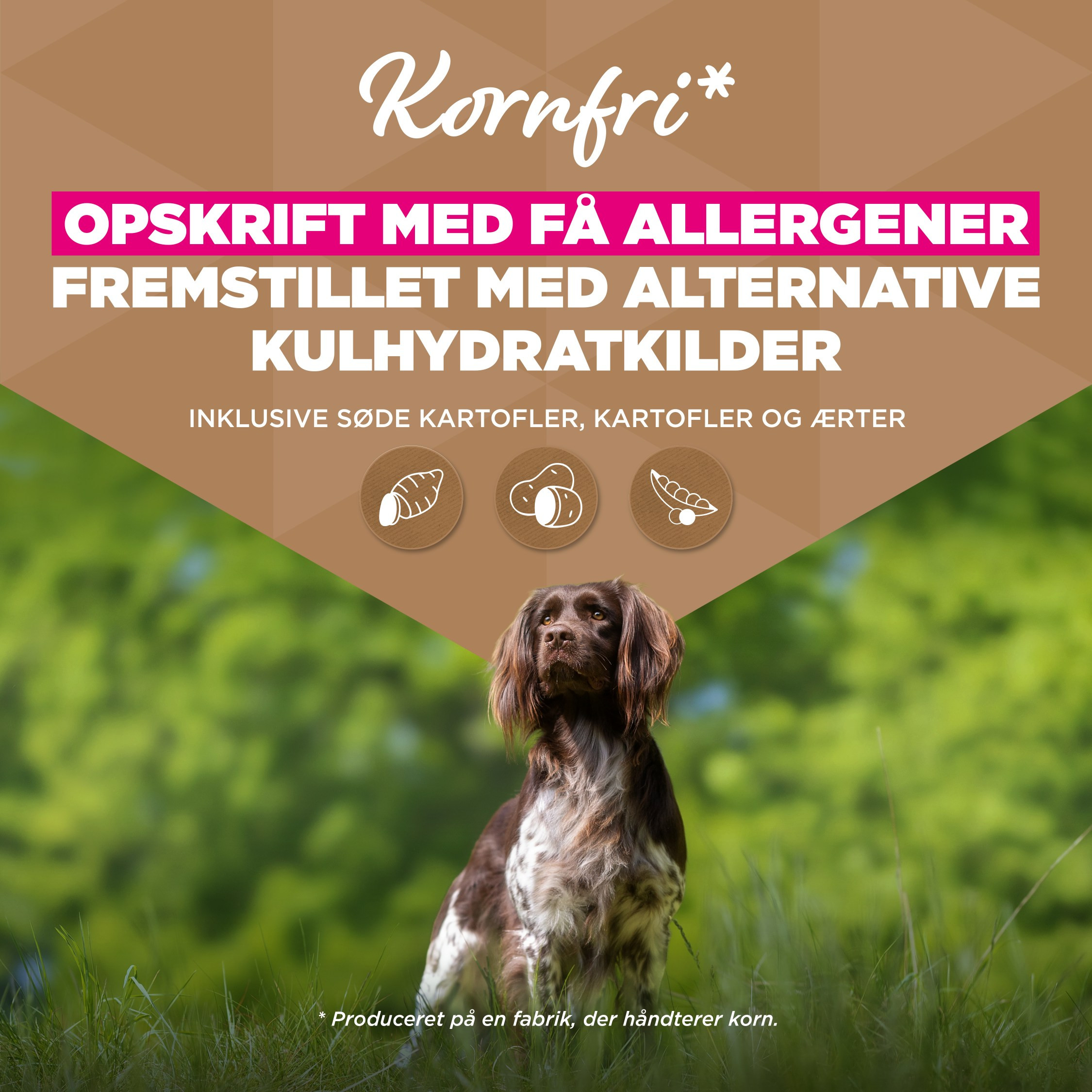 Eukanuba Adult Small & Medium kip graanvrij hondenvoer