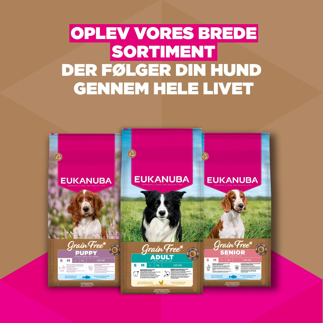 Eukanuba Adult Small & Medium kip graanvrij hondenvoer