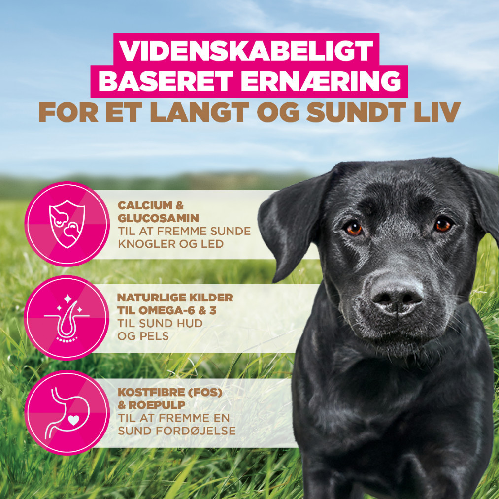 Eukanuba Adult Large kip graanvrij hondenvoer