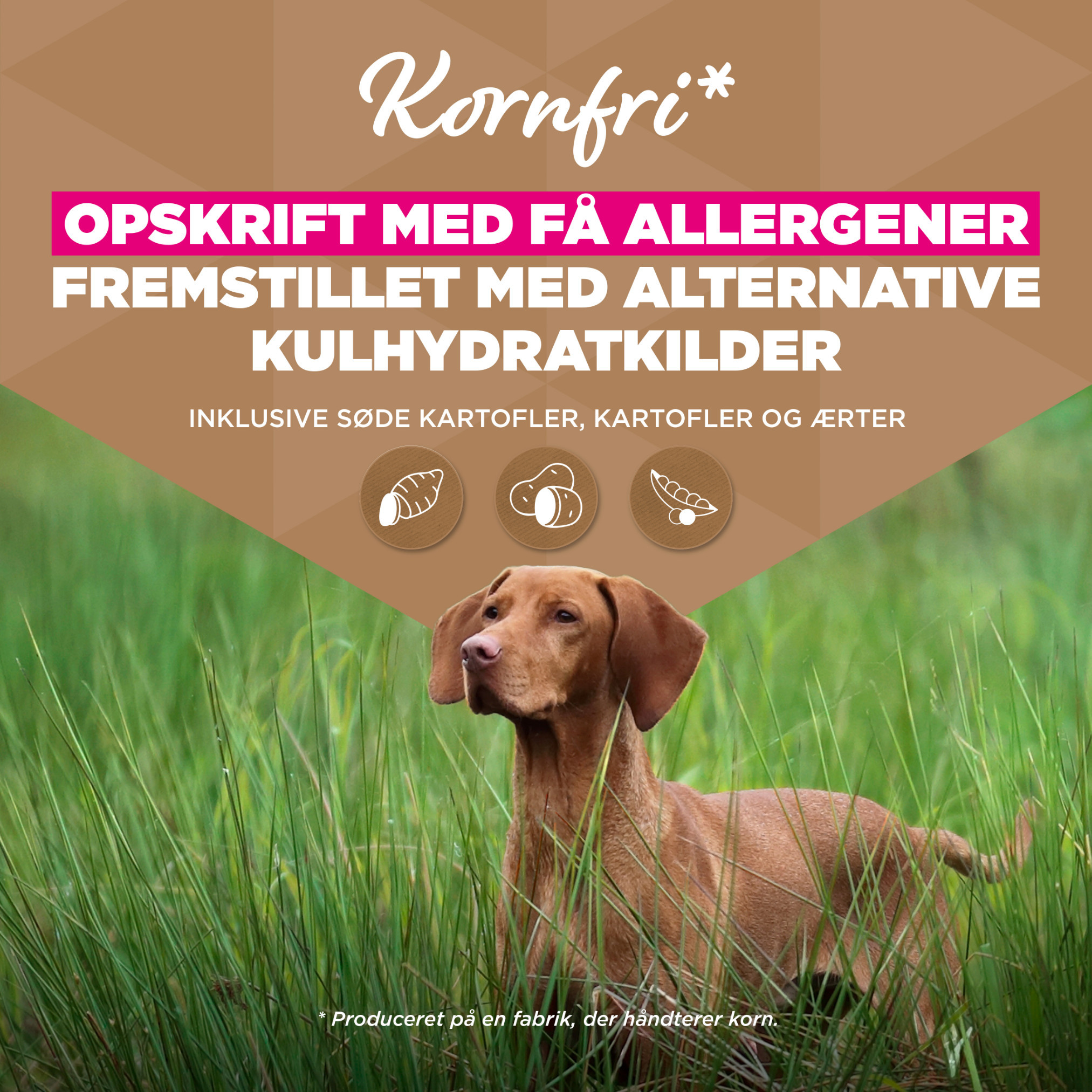Eukanuba Adult Large kip graanvrij hondenvoer