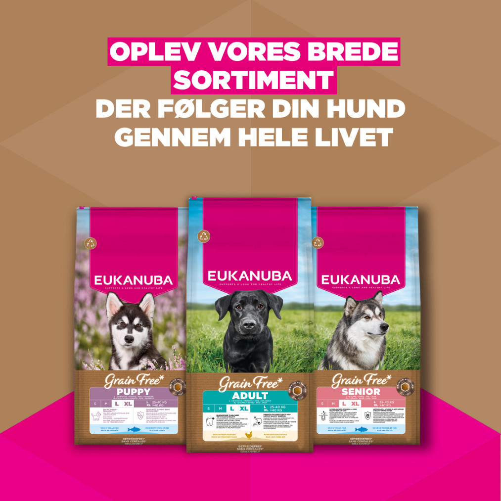 Eukanuba Adult Large kip graanvrij hondenvoer