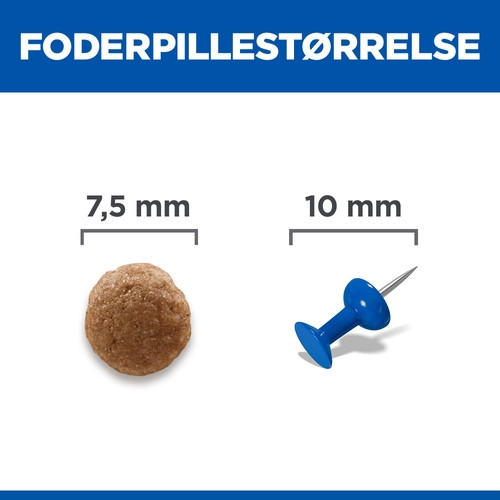 Hill's Adult Perfect Digestion Small&Mini met kip & bruine rijst hondenvoer