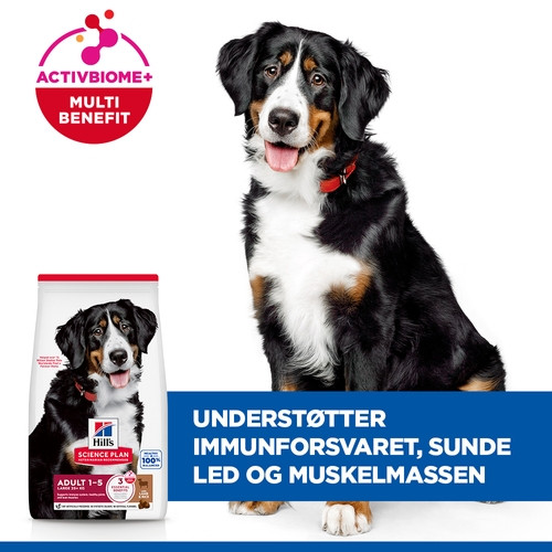 Hill's Adult Advanced Fitness Large Breed Lamm & Reis Hundefutter 