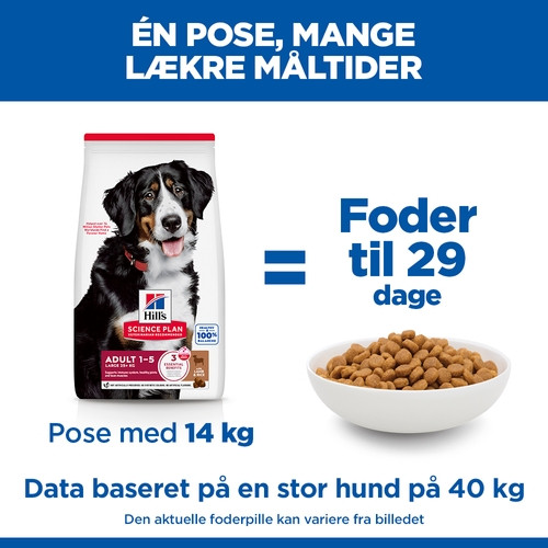 Hill's Adult Advanced Fitness Large Breed Lamm & Reis Hundefutter 