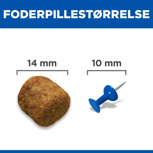 Hill's Adult Advanced Fitness Large Breed Lamm & Reis Hundefutter 