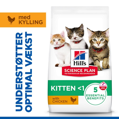 Hill's Kitten Healthy Development Huhn Katzenfutter
