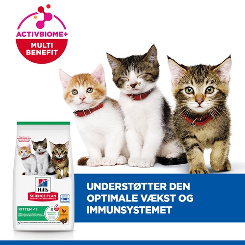 Hill's Kitten Healthy Development Huhn Katzenfutter