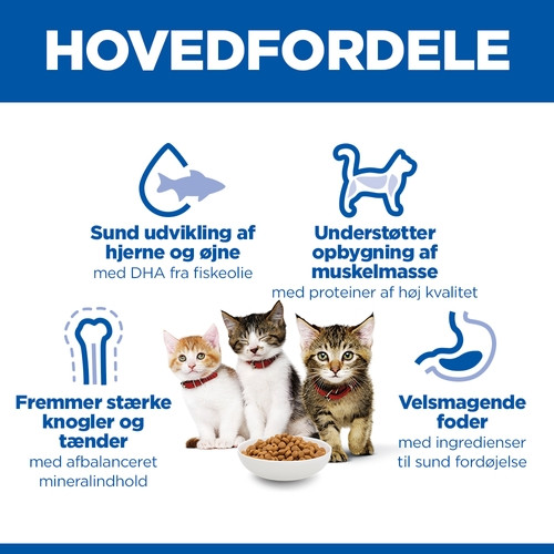 Hill's Kitten Healthy Development Huhn Katzenfutter