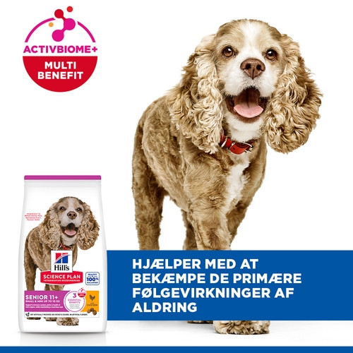 Hill's Senior 11+  Small & Miniature Kip hondenvoer