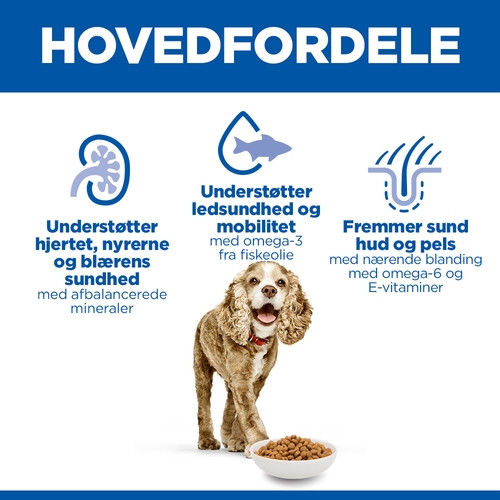 Hill's Senior 11+  Small & Miniature Kip hondenvoer