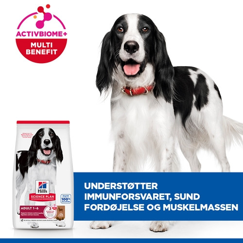 Hill's Adult Advanced Fitness Lamm & Reis Hundefutter 