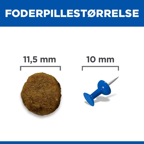 Hill's Adult Advanced Fitness Lamm & Reis Hundefutter 