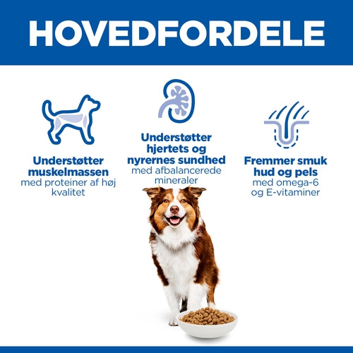 Hill's Mature Adult 7+ Active Longevity Medium Huhn Hundefutter 