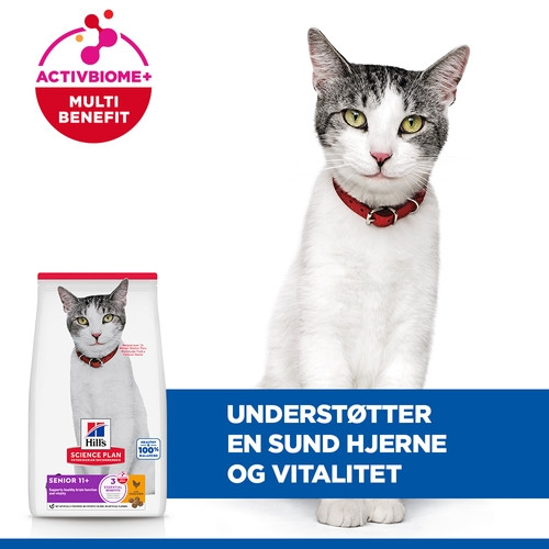 Hill’s Senior 11+ med kylling kattefoder