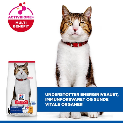 Hill's Mature Adult 7+ med kylling kattefoder
