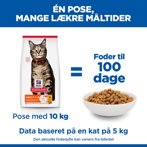 Hill's Adult kylling kattefoder