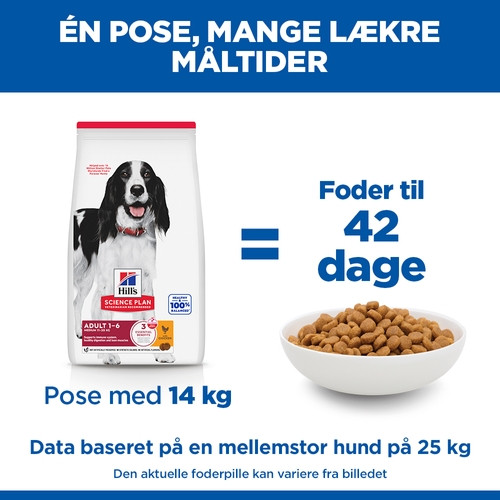 Hill's Adult Advanced Fitness Medium Huhn Hundefutter 