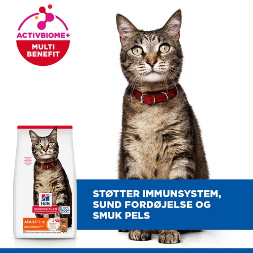Hill's Adult Optimal Care Lamm Katzenfutter 