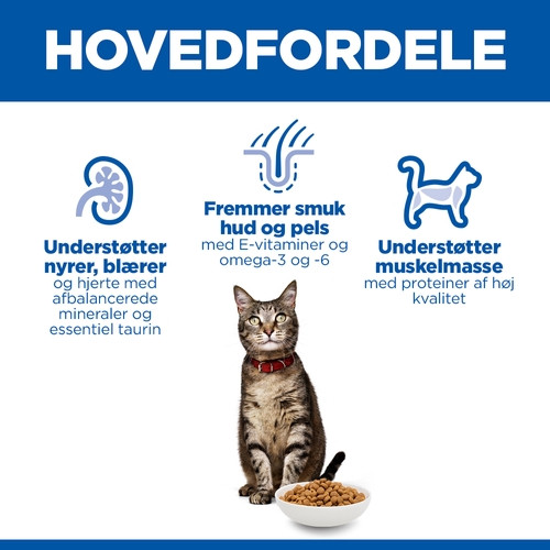 Hill's Adult Optimal Care Lamm Katzenfutter 