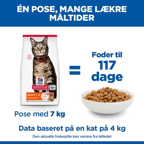 Hill's Adult Optimal Care Lamm Katzenfutter 