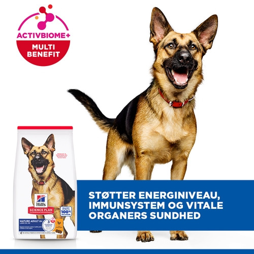 Hill's Mature Adult 5+ Active Longevity Large Breed Huhn Hundefutter 