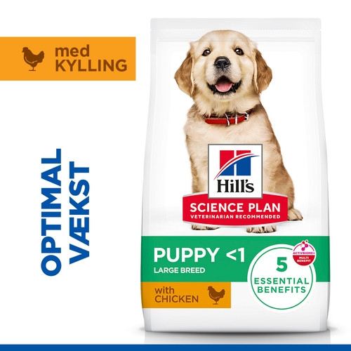 Hill's Puppy Healthy Development Large Breed Huhn Hundefutter 