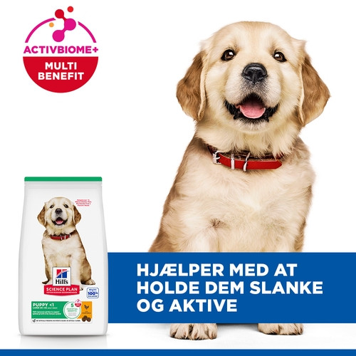 Hill's Puppy Healthy Development Large Breed Huhn Hundefutter 