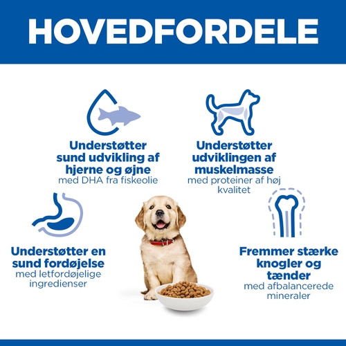 Hill's Puppy Healthy Development Large Breed Huhn Hundefutter 