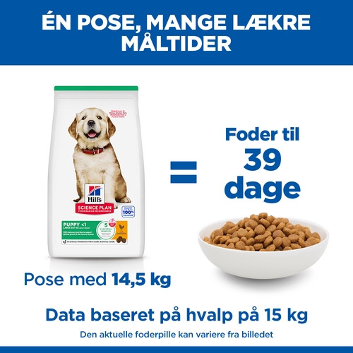 Hill's Puppy Healthy Development Large Breed Huhn Hundefutter 