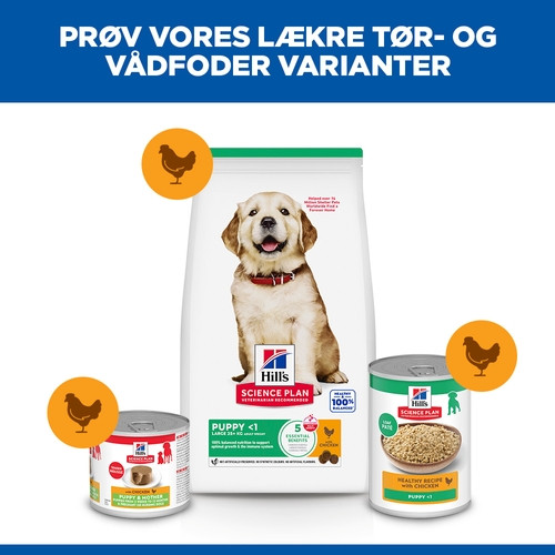 Hill's Puppy Healthy Development Large Breed Huhn Hundefutter 