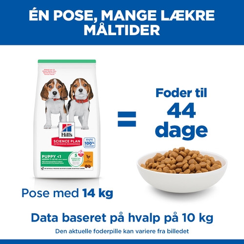 Hill's Puppy Medium med kylling hundefoder