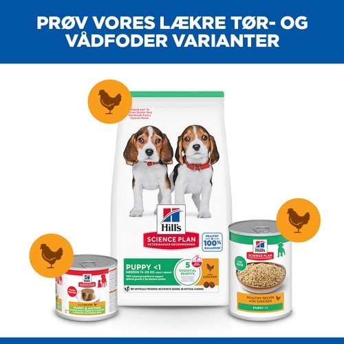 Hill's Puppy Medium med kylling hundefoder