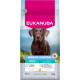 Eukanuba Adult Special Care Weight Control Large/Extra Large hundefoder