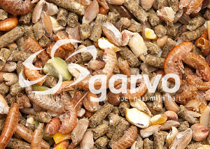 Garvo Algagrow Pride 2080 foder til kyllinger