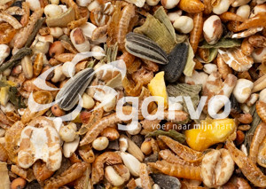 Garvo Pride Treats 2070 kyllingeslik