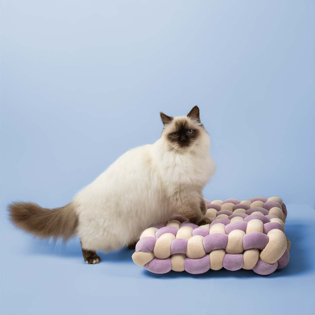 Velvet Vibe kattenkussen