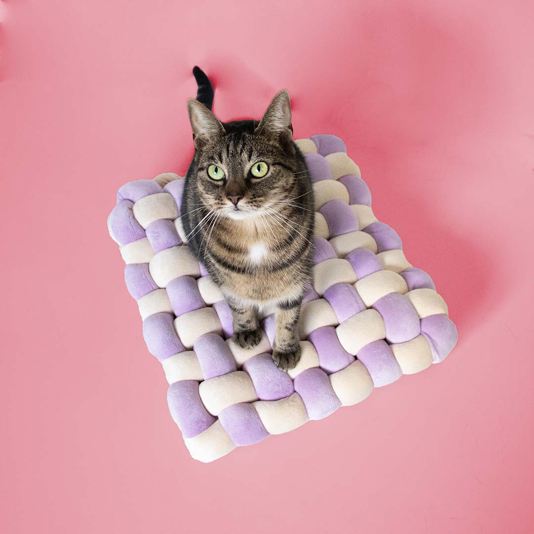 Velvet Vibe kattenkussen